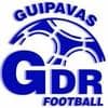 Logo GUIPAVAS GDR
