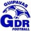 Logo GUIPAVAS GDR