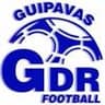Logo GUIPAVAS GDR