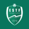 Logo THORIGNE ES