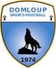 Logo DOMLOUP SP. 2