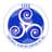 Logo F.C. CANTON DU SEL