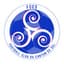 Logo F.C. CANTON DU SEL