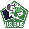 Logo BAIS US
